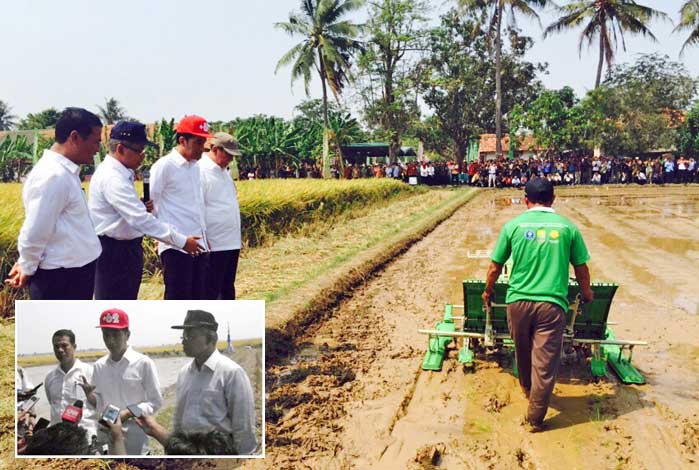 Mentan Pagi Ini Panen Padi di Takalar, Sulsel